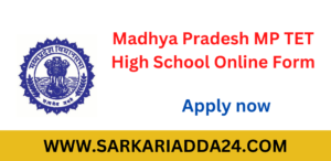 Madhya Pradesh MP High School TET Form