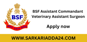 BSF Assistant Commandant Veterinary Assistant Surgeon