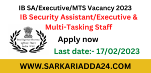 IB SA/Executive/MTS Vacancy 2023 